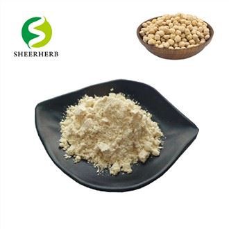 Púdar Próitéin Chickpea