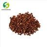 Grape Seed Extract Proanthocyanidin Powder