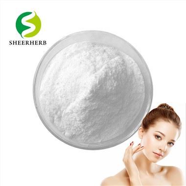 Salicylic Acid Powder