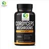 cordyceps sinensis