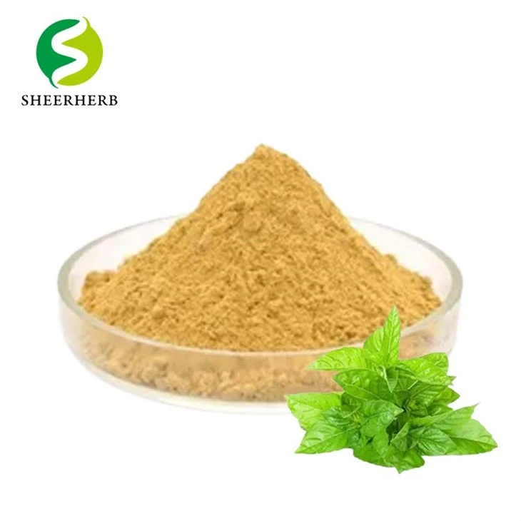 Sliocht Leaf Basil Naofa