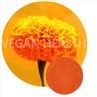 Water Soluble Lutein Microcapsules Powder